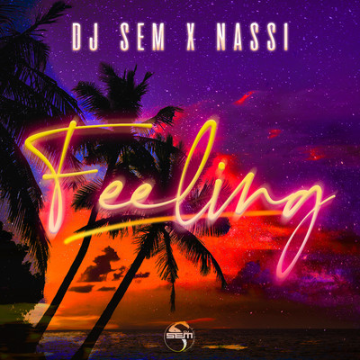 シングル/Feeling/DJ Sem & Nassi