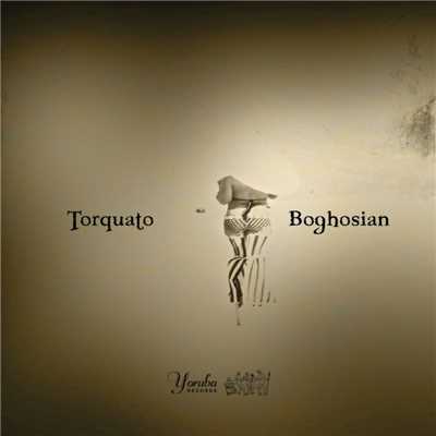 Hope/Torquato & Boghosian