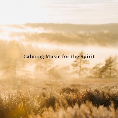 アルバム/Calming Music for the Spirit/のる