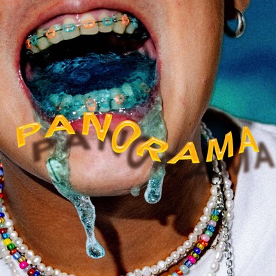 PANORAMA (feat. Need a Flex)/Masato Hayashi