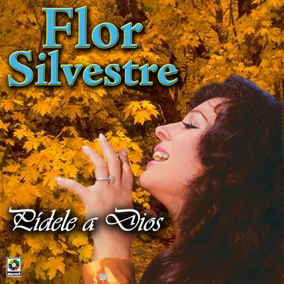 Alitas Rotas/Flor Silvestre