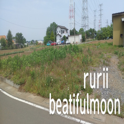 アルバム/beatifulmoon/rurii