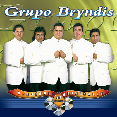 アルバム/45 Exitos (Versiones Originales)/Grupo Bryndis