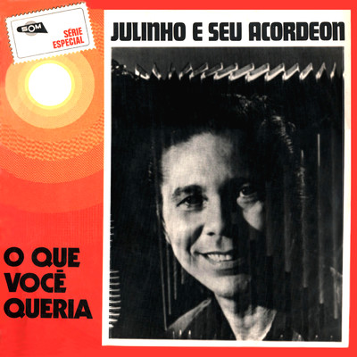 アルバム/O Que Voce Queria/Julinho Do Acordeon