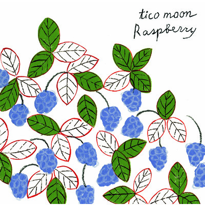 Raspberry/tico moon