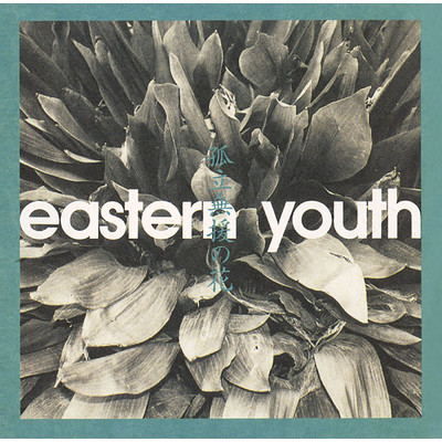 今日/eastern youth