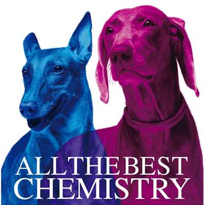 You Go Your Way (Single Version)/CHEMISTRY