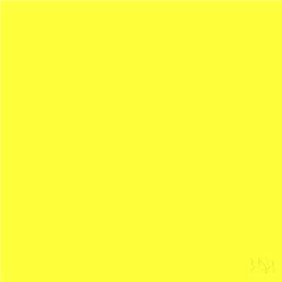 Yellow/No.528