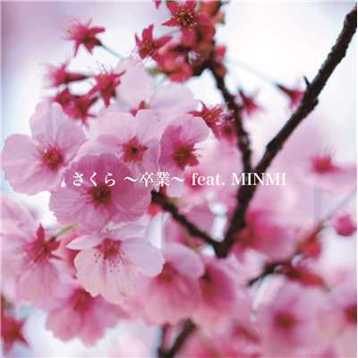 シングル/さくら 〜卒業〜 feat. MINMI/湘南乃風
