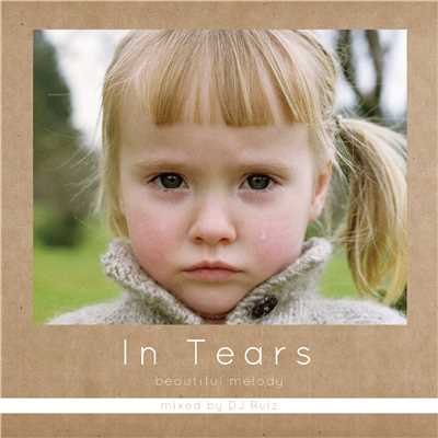In Tears -beautiful melody- mixed by DJ Ruiz/Various Artists