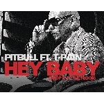 ヘイ・ベイビー feat. T-Pain/Pitbull
