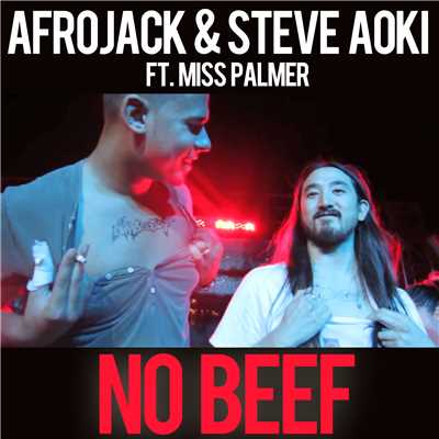Afrojack and Steve Aoki featuring Miss Palmer