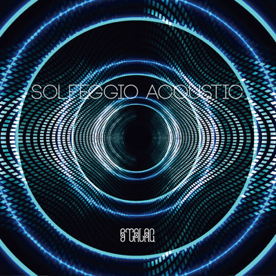 アルバム/超意識への変容や心の調和などに効果があるとされる古代音階ソルフェジオ周波数全9音サイン波のみの超音響盤 〜Solfeggio Acoustic(ソルフェジオアコースティック)/VAGALLY VAKANS
