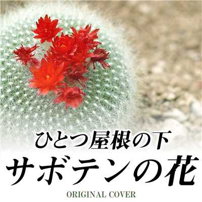 ひとつ屋根の下  サボテンの花  ORIGINAL COVER/NIYARI計画