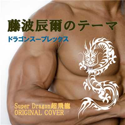 藤波辰爾のテーマ ドラゴンスープレックス Super Dragon 超飛龍 ORIGINAL COVER/NIYARI計画