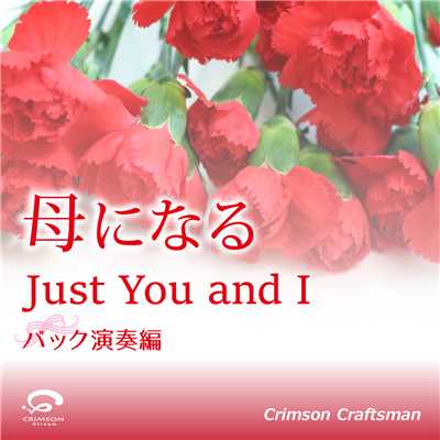 Just You and I 母になる 主題歌 (バック演奏編)(オリジナルアーティスト:安室奈美恵)/Crimson Craftsman