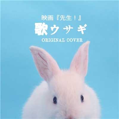 歌ウサギ 映画「先生！」 ORIGINAL COVER/NIYARI計画
