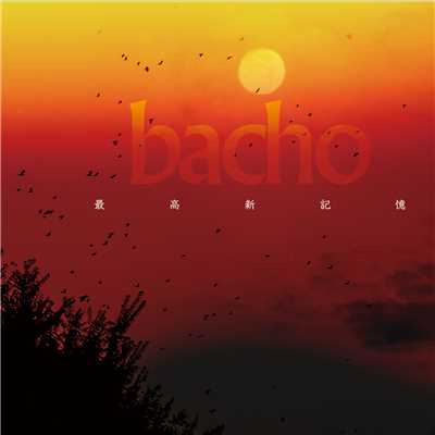 最高新記憶/bacho