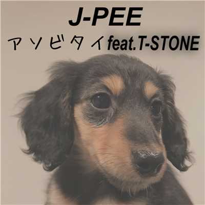 シングル/アソビタイ feat. T-STONE/J-PEE