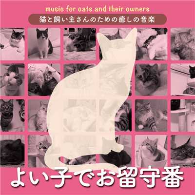 猫と飼い主さんのための癒しの音楽〜よい子でお留守番〜/Various Artists