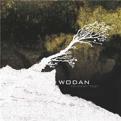 saint seven/Wodan