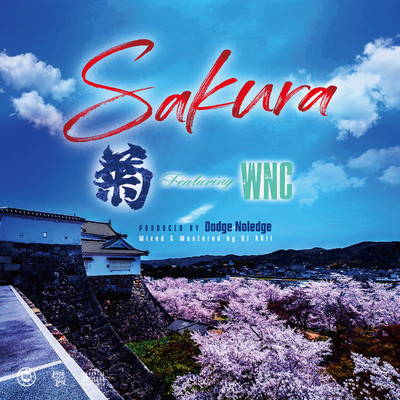 シングル/Sakura feat. WNC/菊