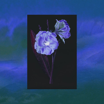 シングル/The Voice of Flowers/ASPIDISTRAFLY