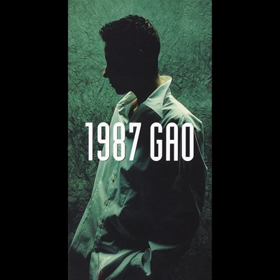 1987/GAO