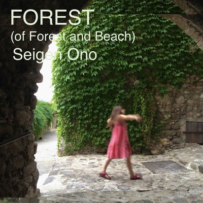 シングル/Teresa forest/Seigen Ono