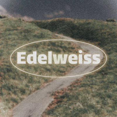 シングル/Edelweiss/TOKYO RAVE GROUPIE