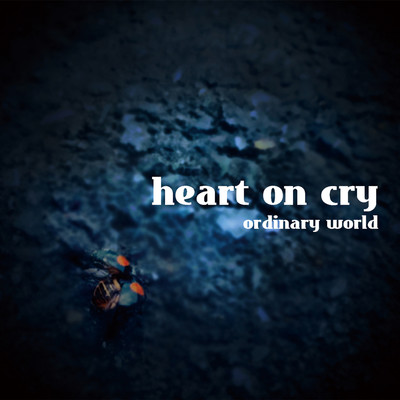 シングル/ナミダガデソウ/heart on cry