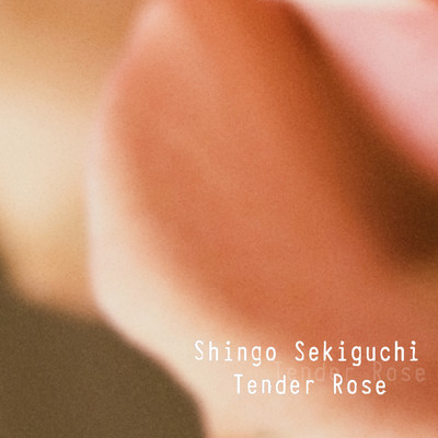 シングル/Tender Rose/関口シンゴ
