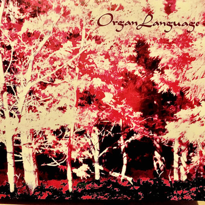 シングル/Respiration Of The Forest/OrganLanguage