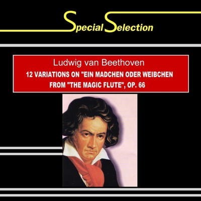 スペシャル・セレクション:ベートーヴェン／モーツァルトの「魔笛」の「娘か女房か」の主題による12の変奏曲  ヘ長調  作品66/クラウス・ペーター・ハン／フリーデマン・リエガー