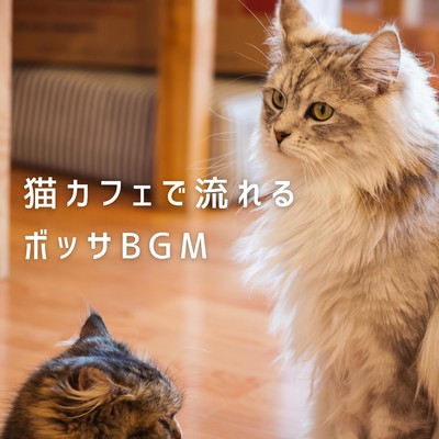 猫カフェで流れるボッサBGM/Love Bossa