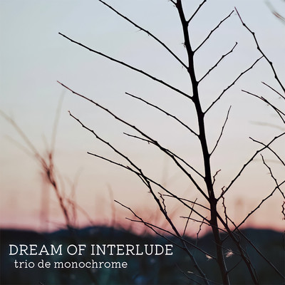 シングル/Dream Of Interlude/trio de monochrome