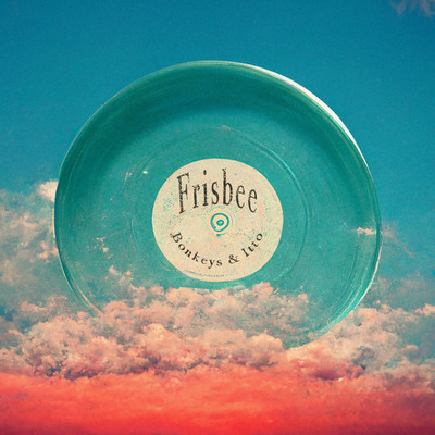 Frisbee/Bonkeys
