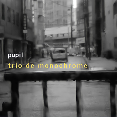 シングル/Pupil (Radio Edit)/trio de monochrome