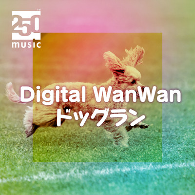 アルバム/Digital WanWan ドッグラン/小泉pat一郎