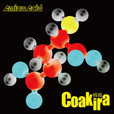 アルバム/Amino Acid/Coakira