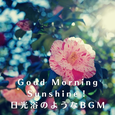 Fresh New Morning's Cheer Me/Love Bossa