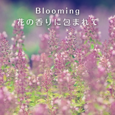 アルバム/Blooming 花の香りに包まれて/88 Mirage