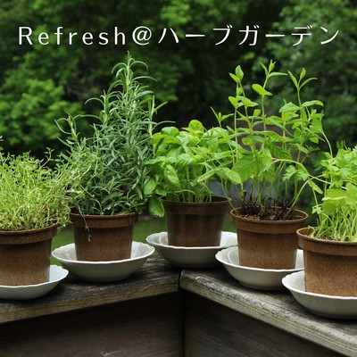 Perfect Parsley/Relaxing BGM Project