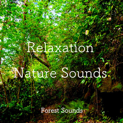 アルバム/Nightingale songs/Relaxation Nature Sounds