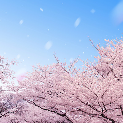 Chill (Sakura no Ato)/Hikaru Hibiki