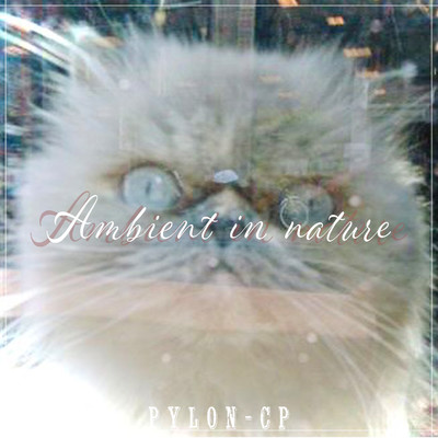 Ambient in nature/PYLON-CP