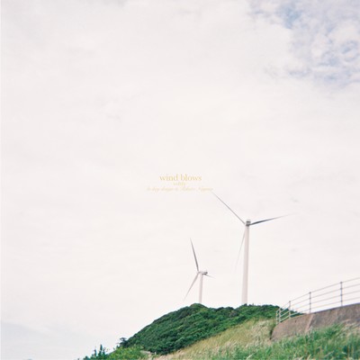 wind blows - softly -/lo-key design