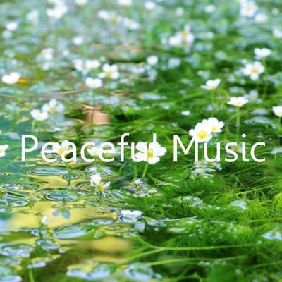 アルバム/Peaceful Music/シャバーサナ