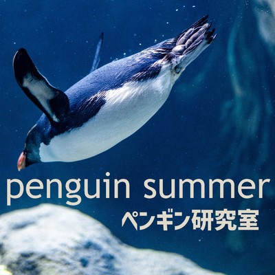 シングル/Bluebird/ペンギン研究室