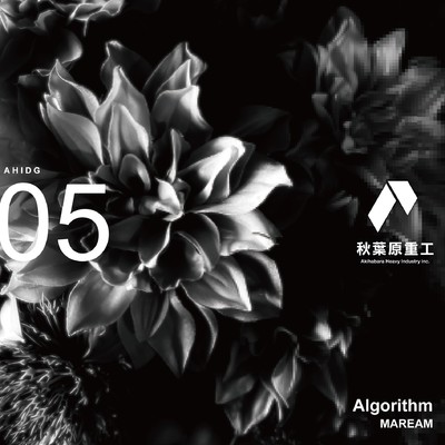 Algorithm (Q'HEY Remix)/MAREAM